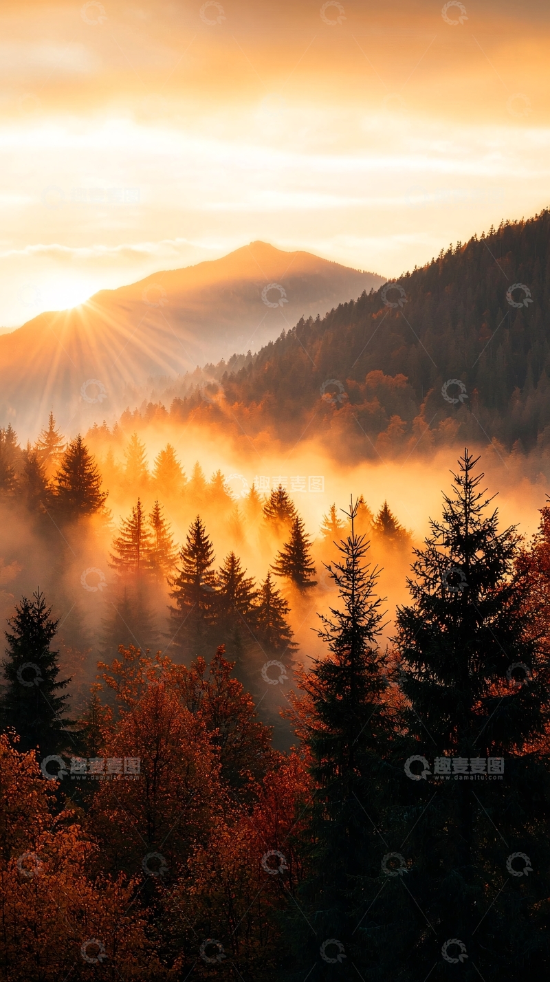 高清大图下载【趣麦麦图】晨雾中的森林山景