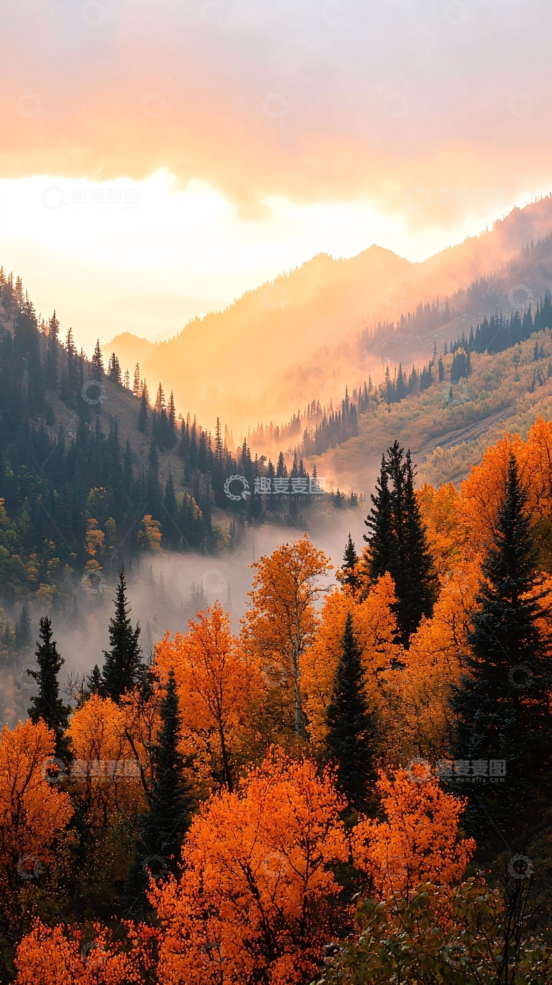 高清大图下载【趣麦麦图】秋日山林晨雾图