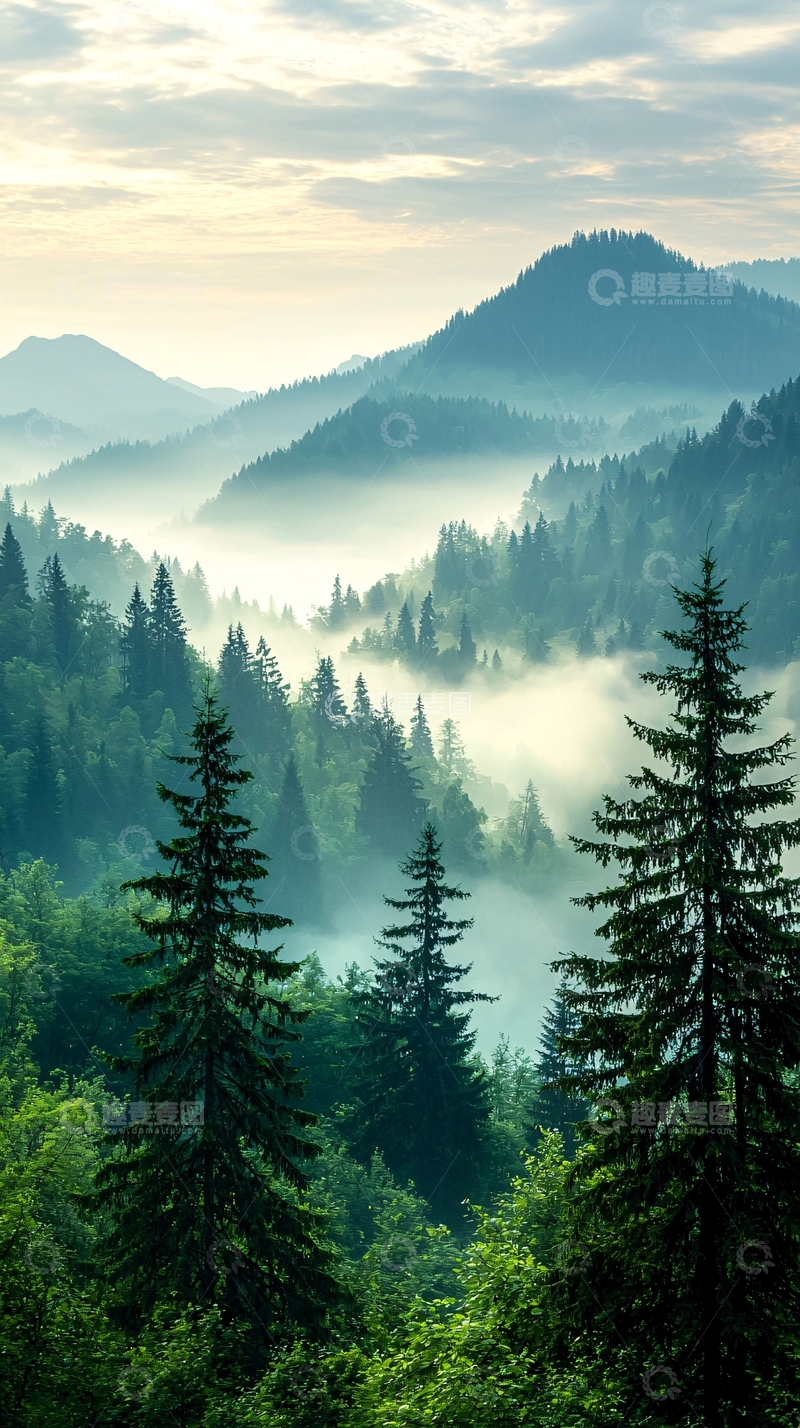 高清大图下载【趣麦麦图】晨雾中的森林山脉