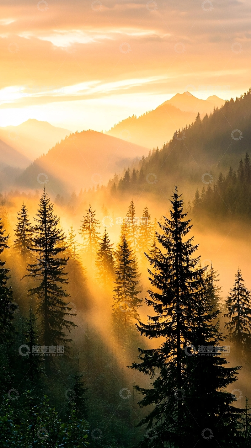 高清大图下载【趣麦麦图】晨雾中的森林山脉