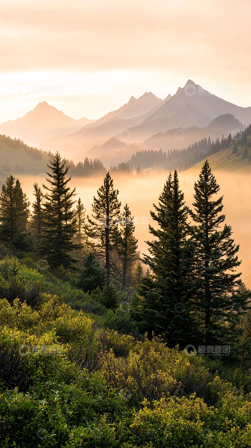 高清大图下载【趣麦麦图】晨雾中的山林风景