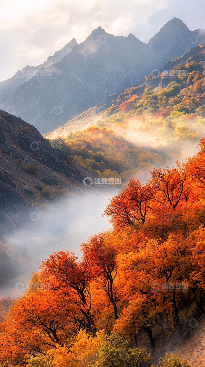 高清大图下载【趣麦麦图】秋日山间雾气缭绕