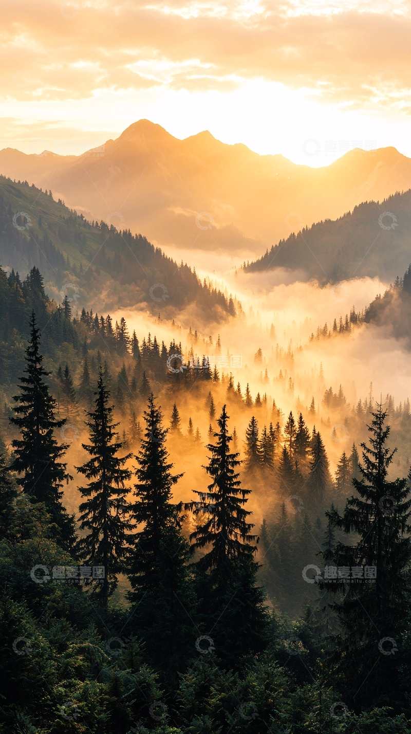 高清大图下载【趣麦麦图】晨雾中的森林山脉