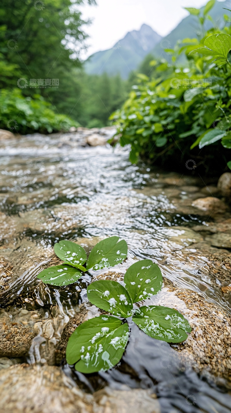 高清大图下载【趣麦麦图】山间小溪绿植自然风景