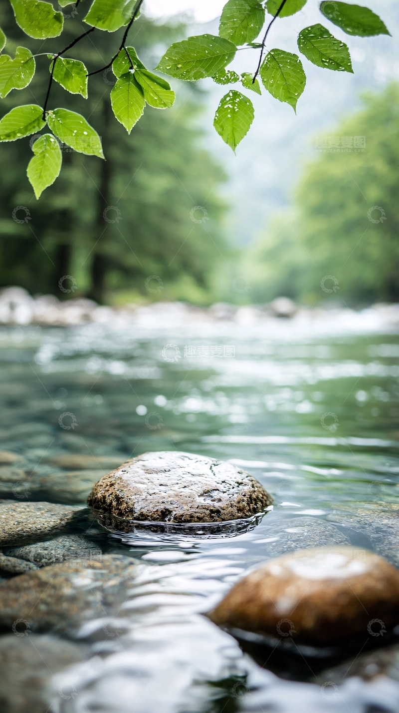 高清大图下载【趣麦麦图】清澈河流与绿叶自然风景