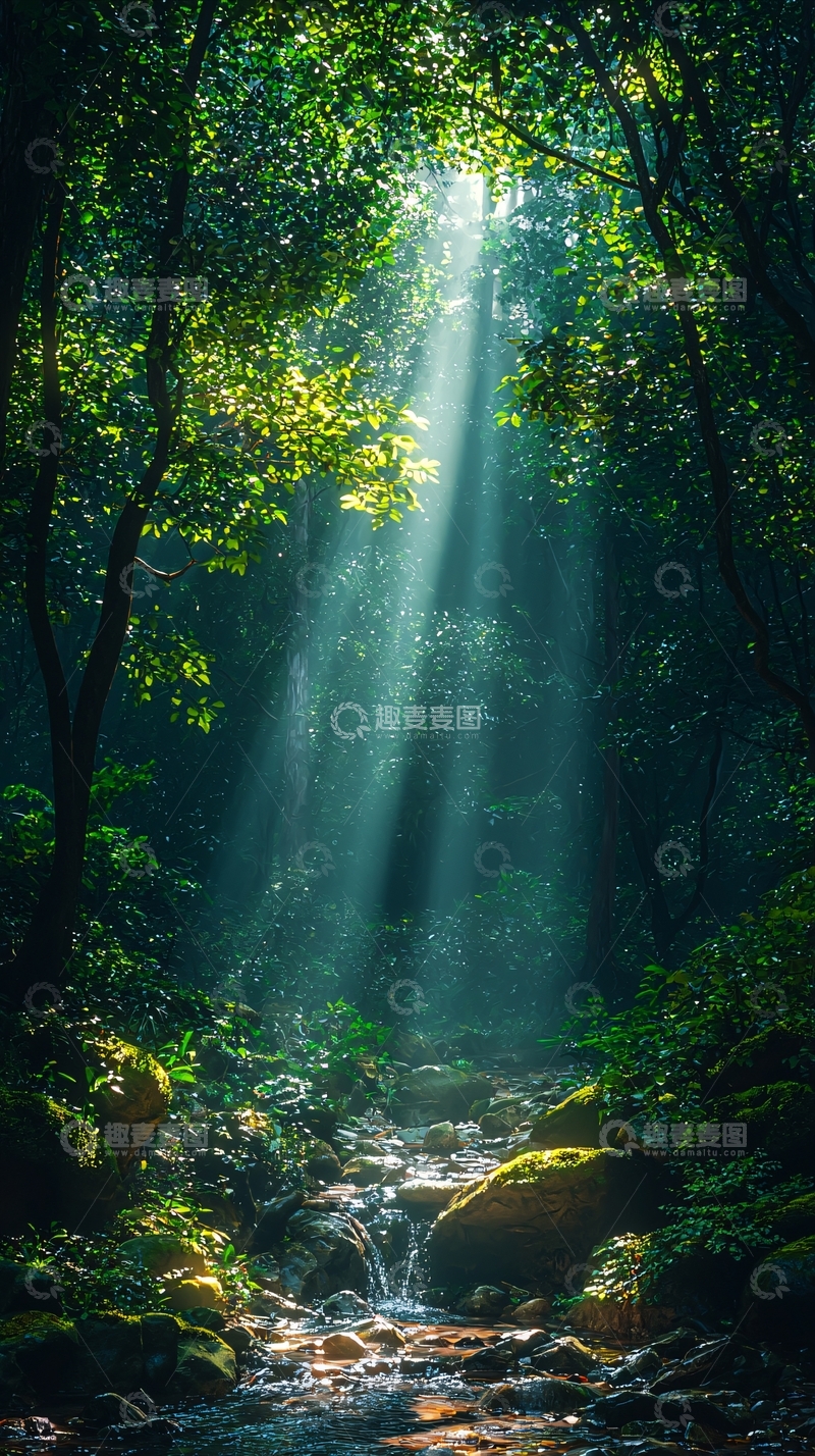 高清大图下载【趣麦麦图】森林中的阳光穿透