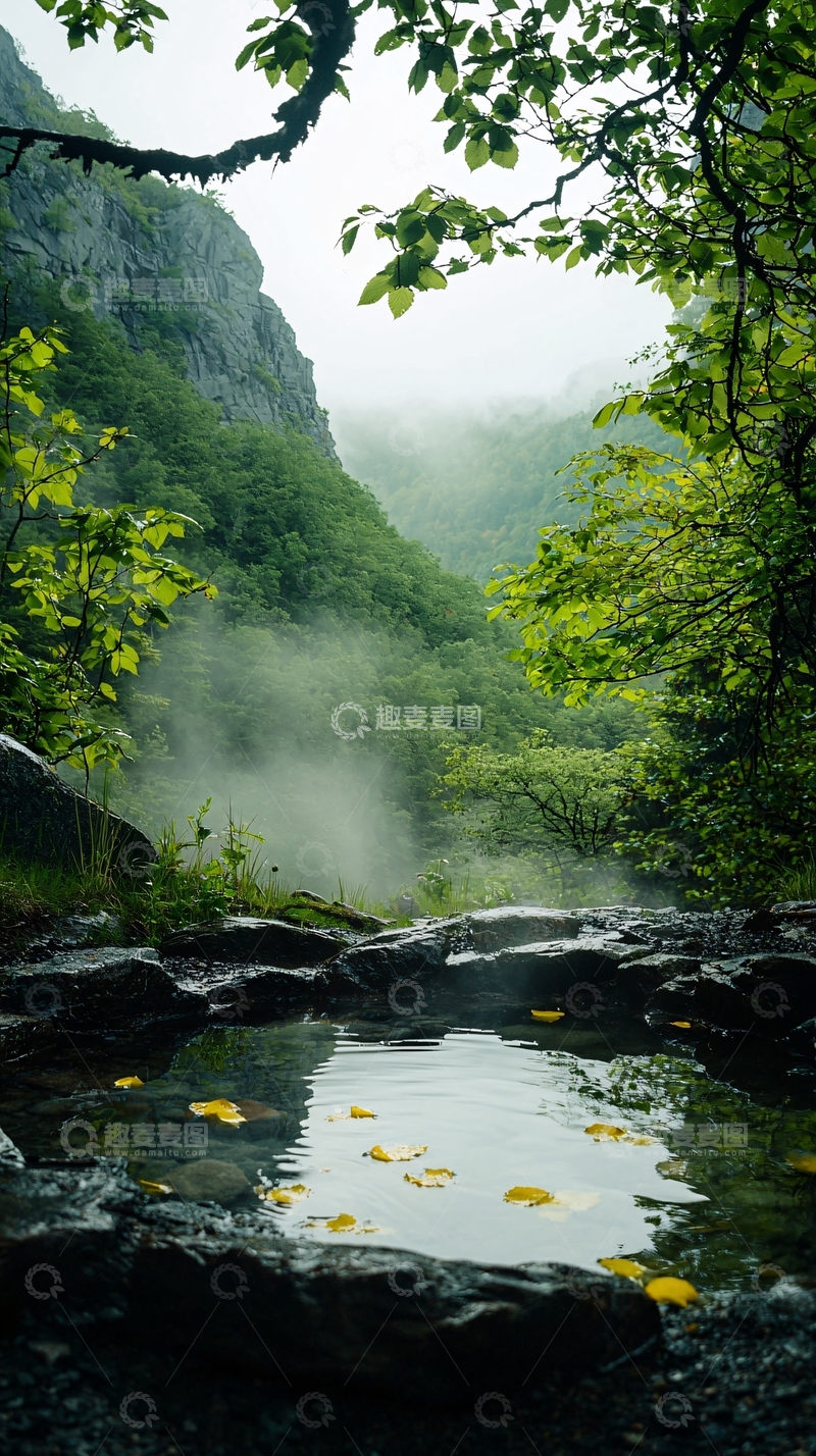 高清大图下载【趣麦麦图】雾气缭绕的山谷溪流
