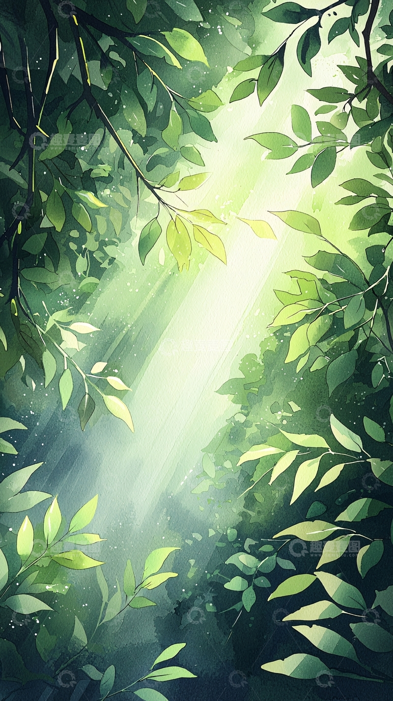 高清大图下载【趣麦麦图】森林中的阳光穿透树叶