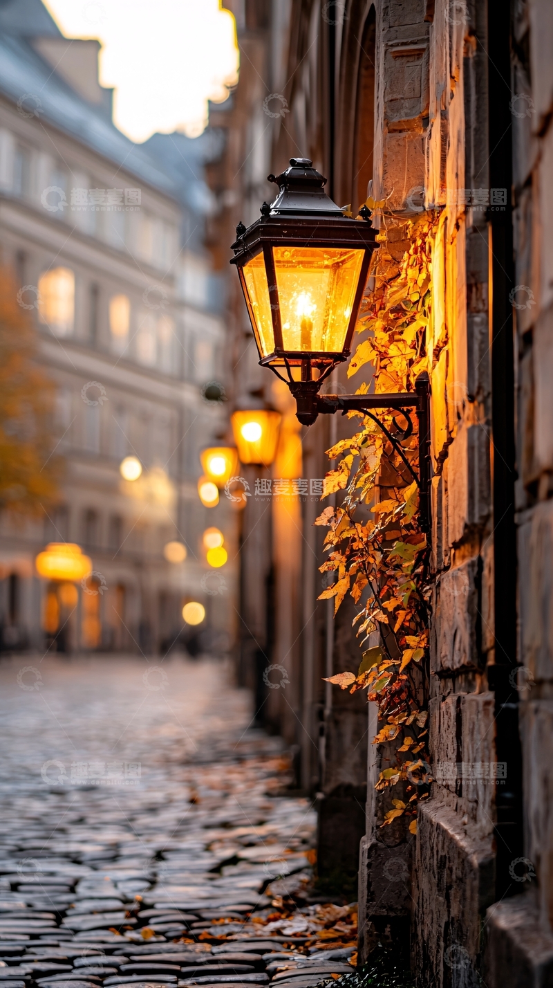 高清大图下载【趣麦麦图】秋日古街夜灯