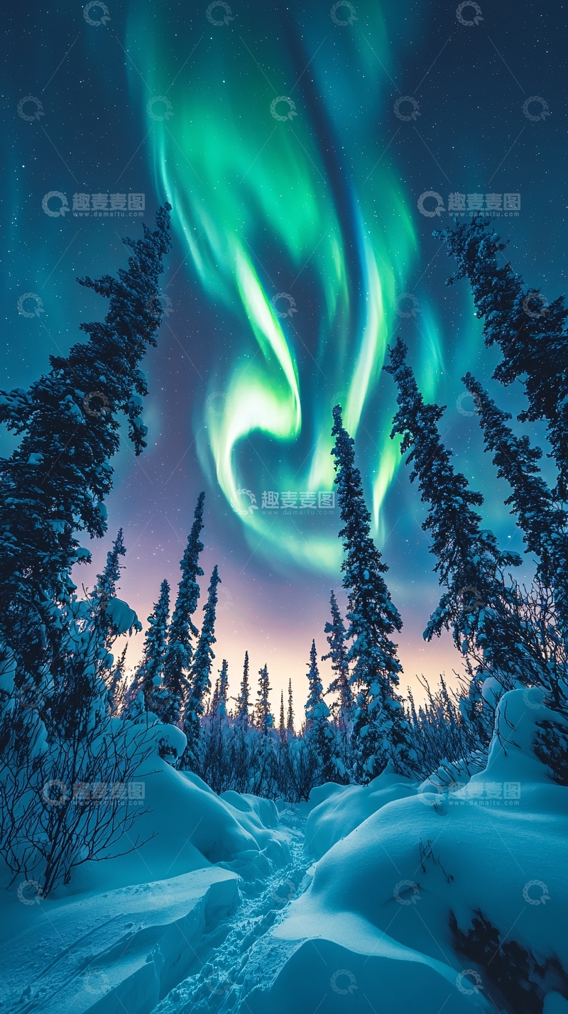 高清大图下载【趣麦麦图】极光下的雪林夜景