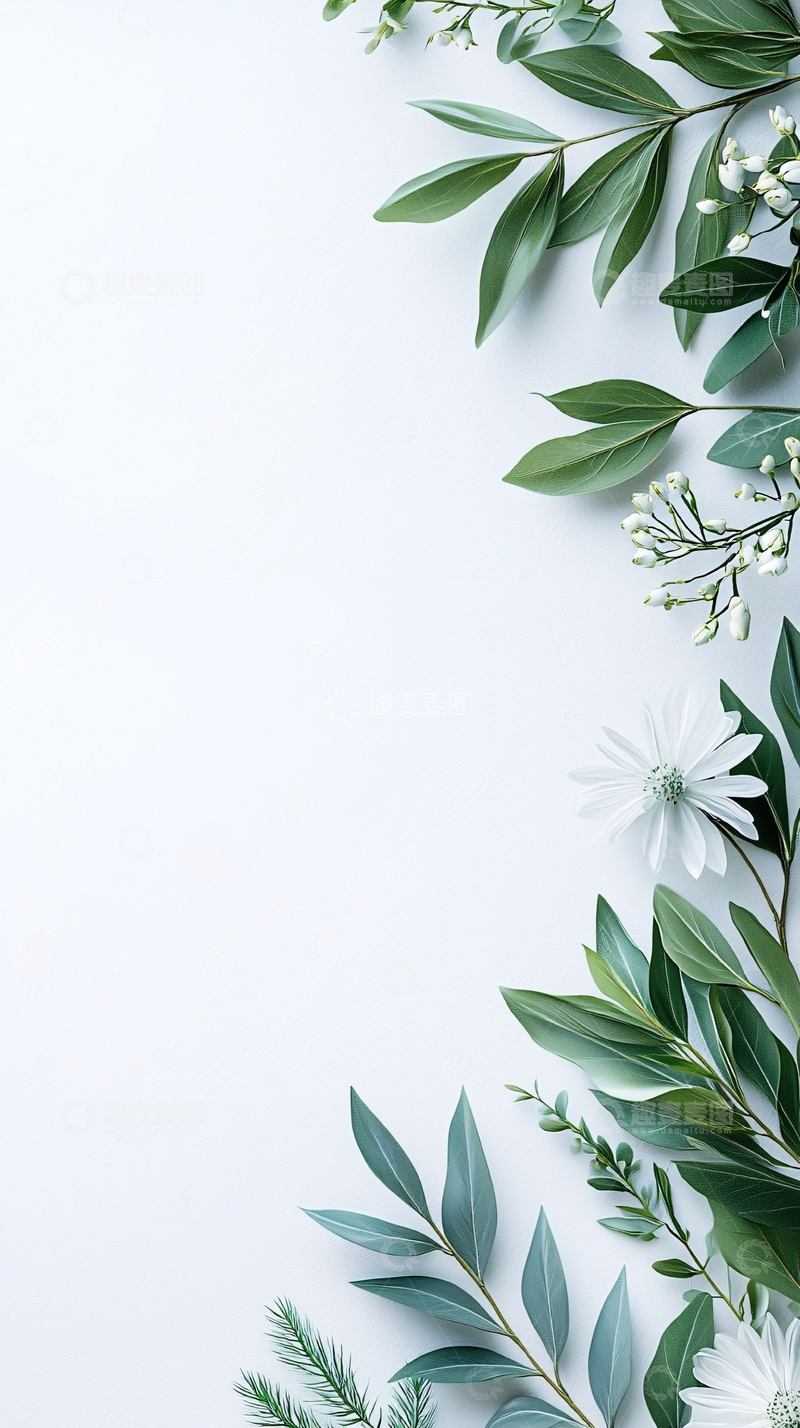 高清大图下载【趣麦麦图】清新自然花卉边框背景图