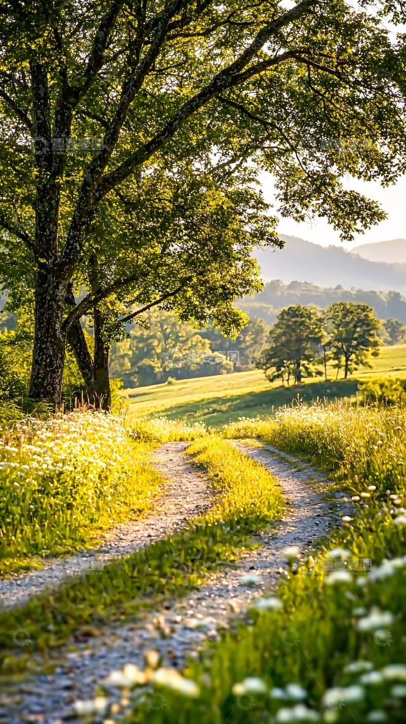 高清大图下载【趣麦麦图】乡村小路与绿树蓝天
