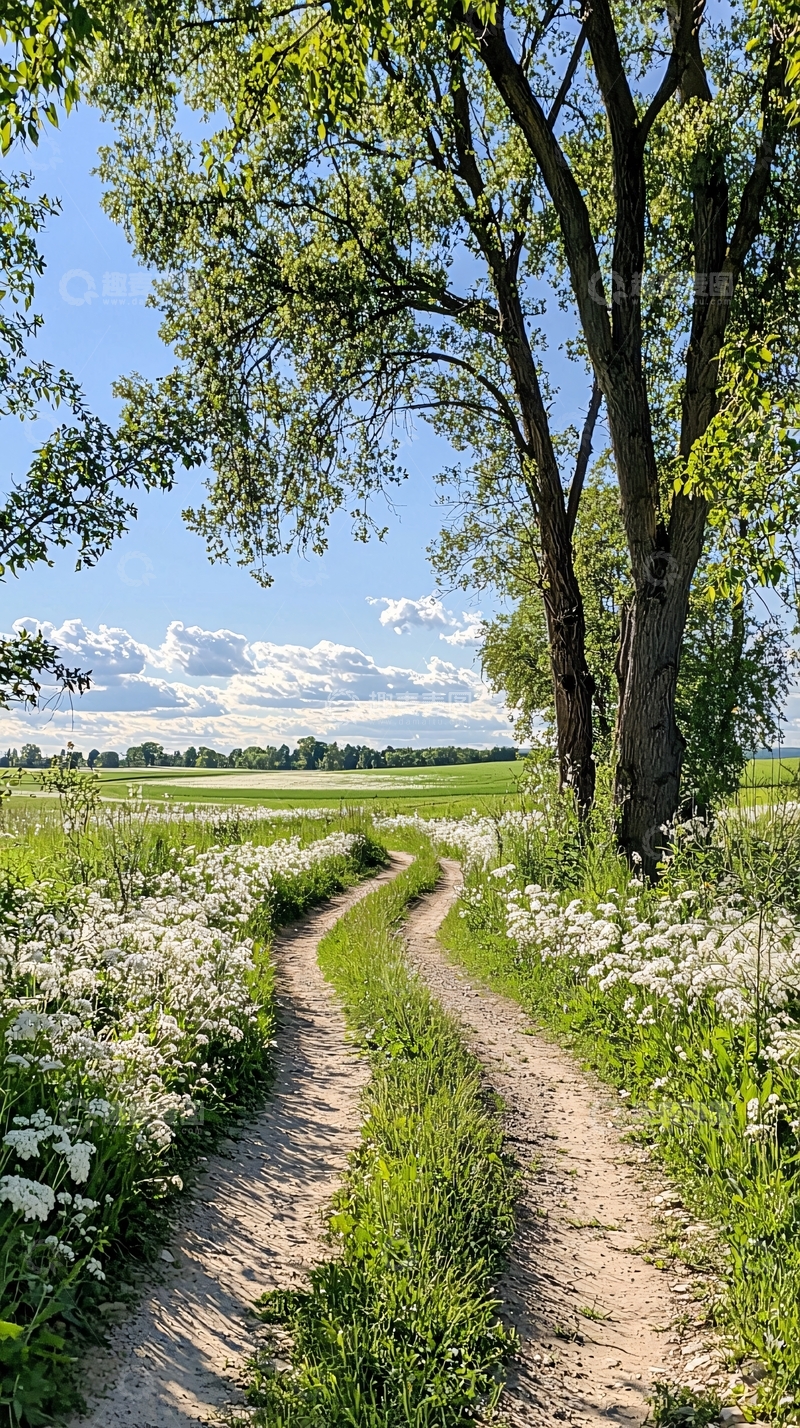 高清大图下载【趣麦麦图】乡村小路与绿色田野