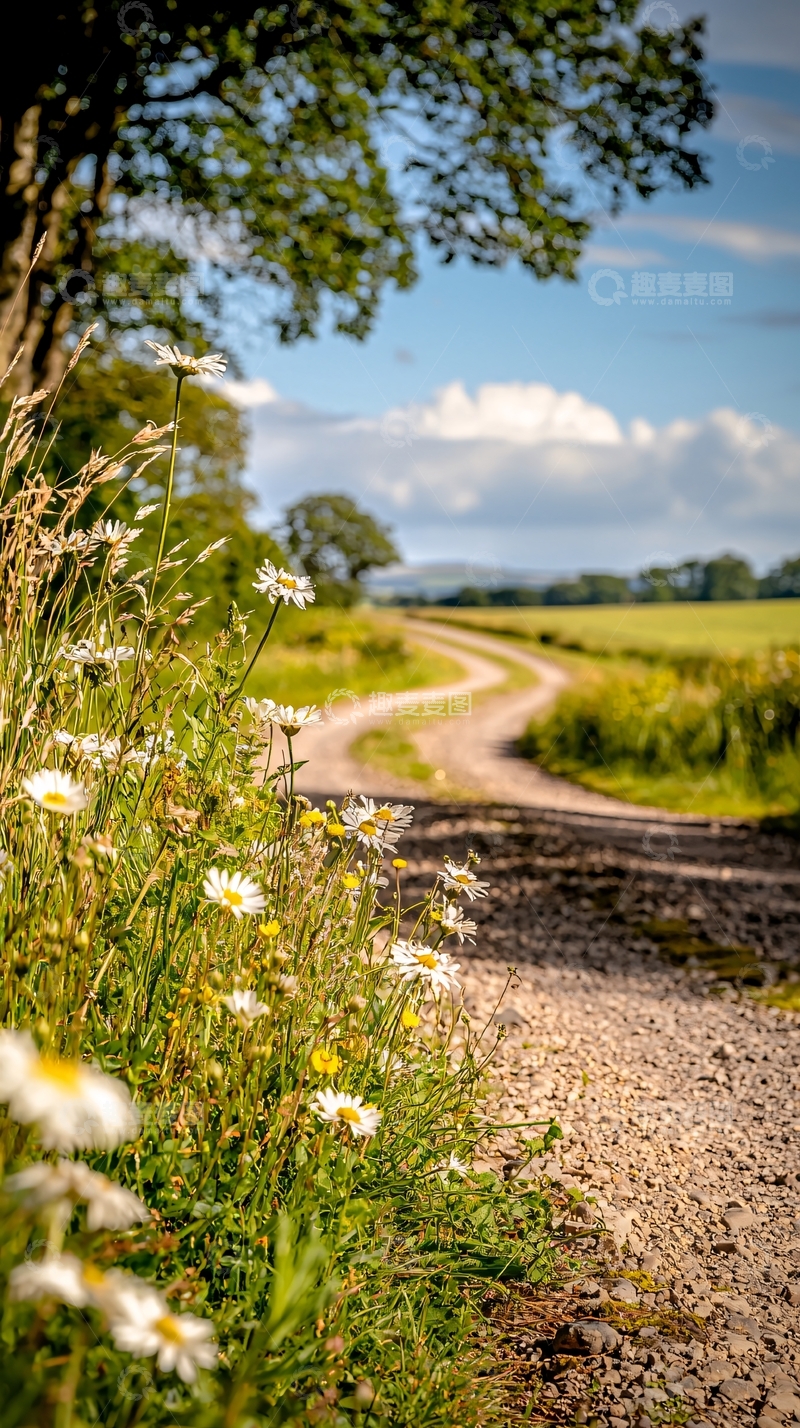 高清大图下载【趣麦麦图】乡村小路与野花