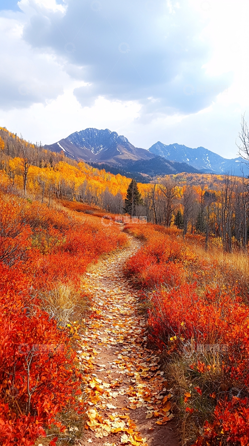 高清大图下载【趣麦麦图】秋日山间小径