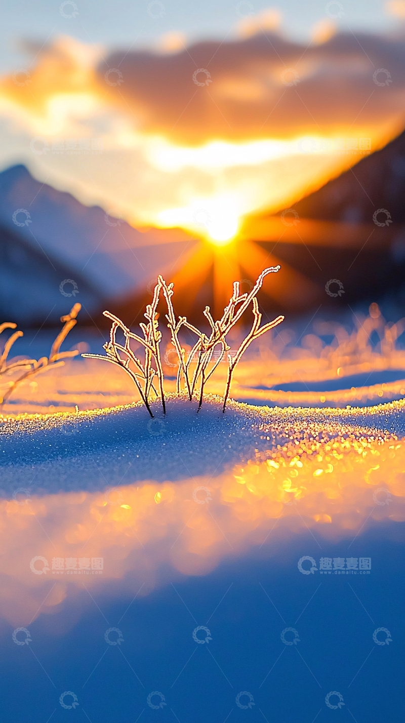高清大图下载【趣麦麦图】冬日雪地日出风景