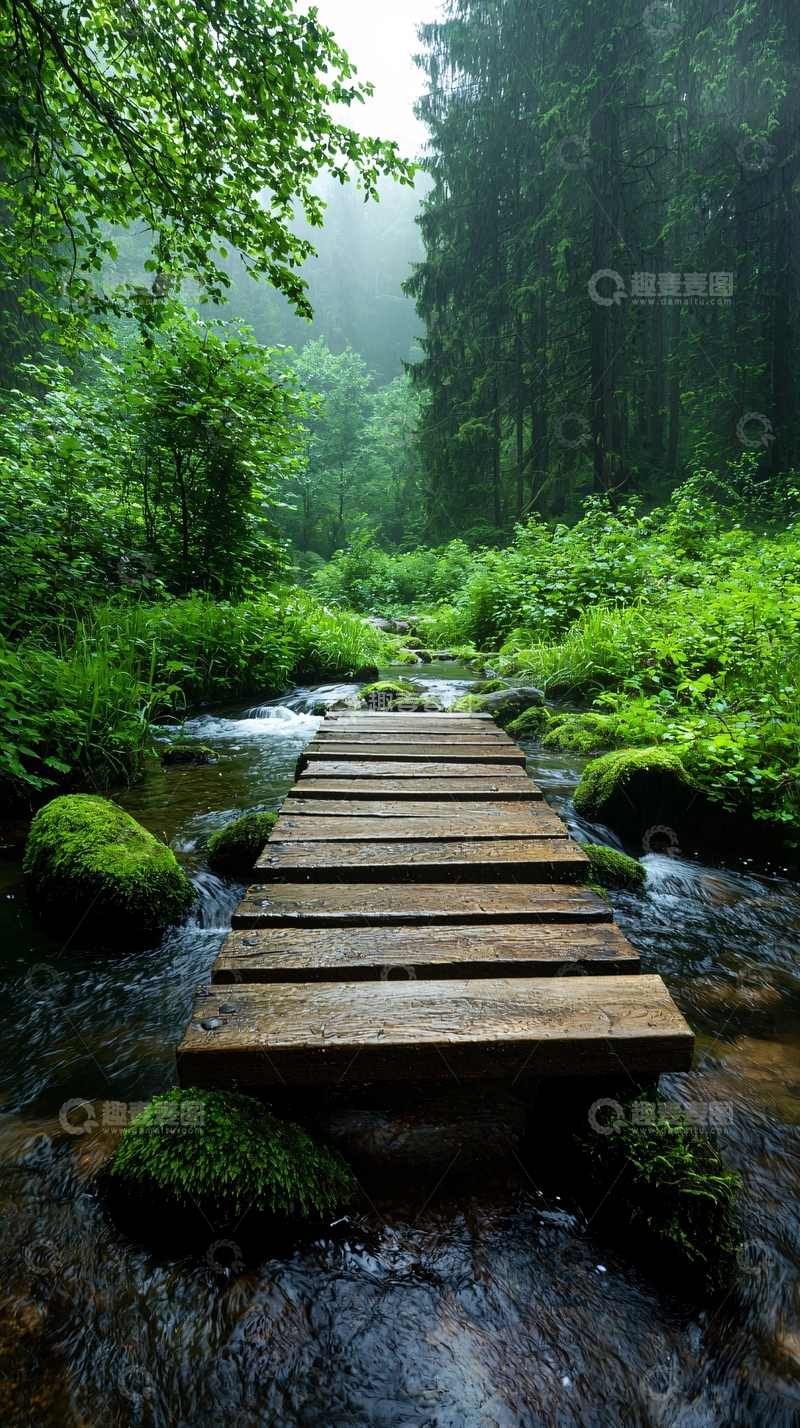 高清大图下载【趣麦麦图】雨后森林中的木桥