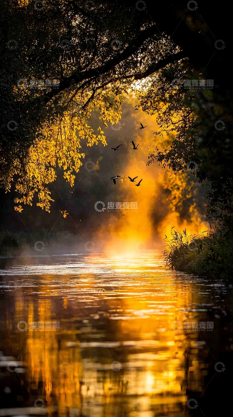 高清大图下载【趣麦麦图】秋日晨雾中的河流与飞鸟