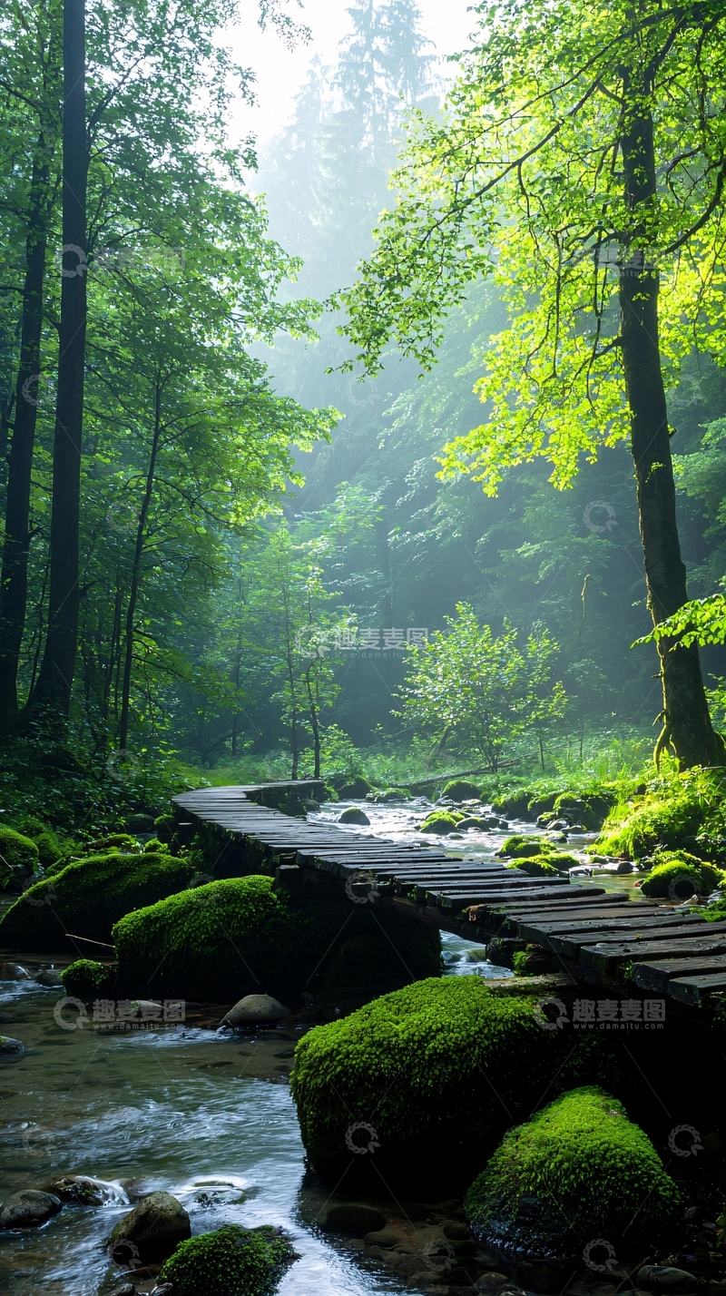高清大图下载【趣麦麦图】森林中的小溪与木桥