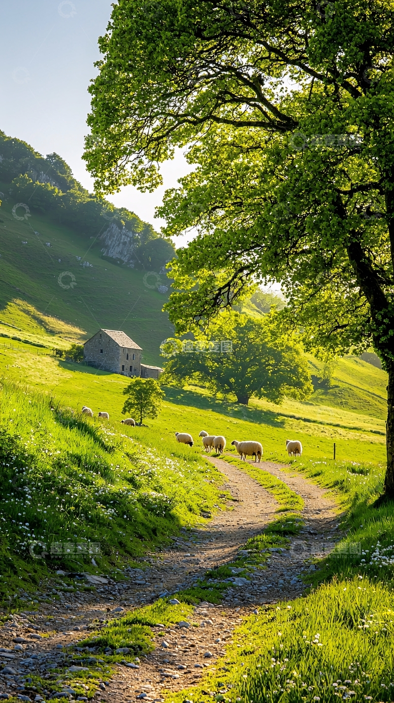 高清大图下载【趣麦麦图】田园风光下的羊群与小路