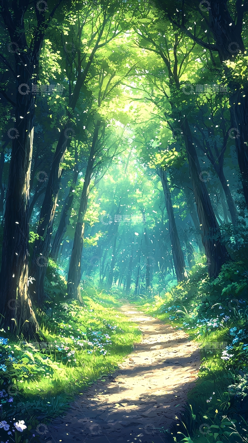高清大图下载【趣麦麦图】森林小径阳光明媚