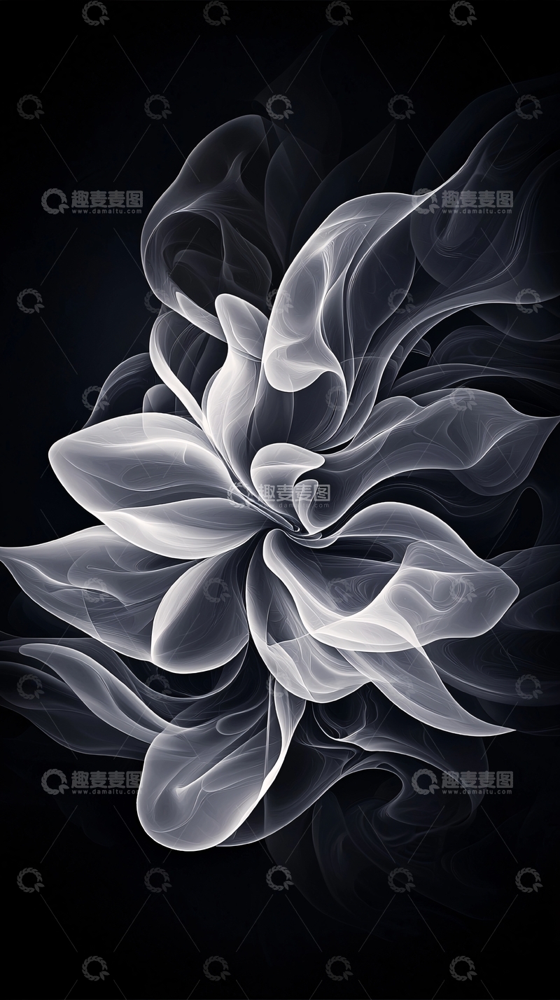 高清大图下载【趣麦麦图】抽象黑白花朵艺术背景