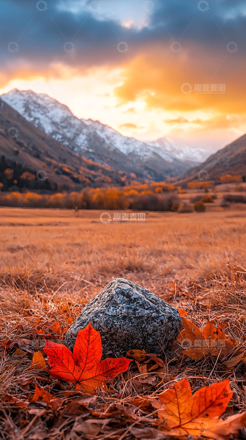 高清大图下载【趣麦麦图】秋日山间落叶石景