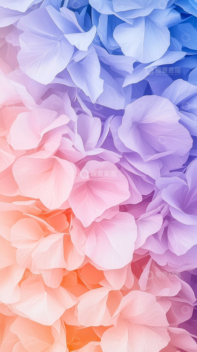 高清大图下载【趣麦麦图】梦幻花瓣渐变色彩背景