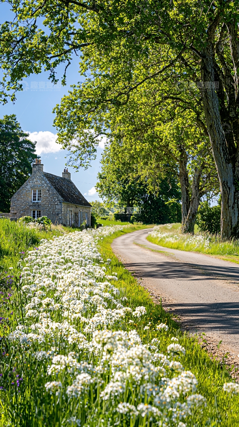 高清大图下载【趣麦麦图】乡村小路与野花盛开的田园风光