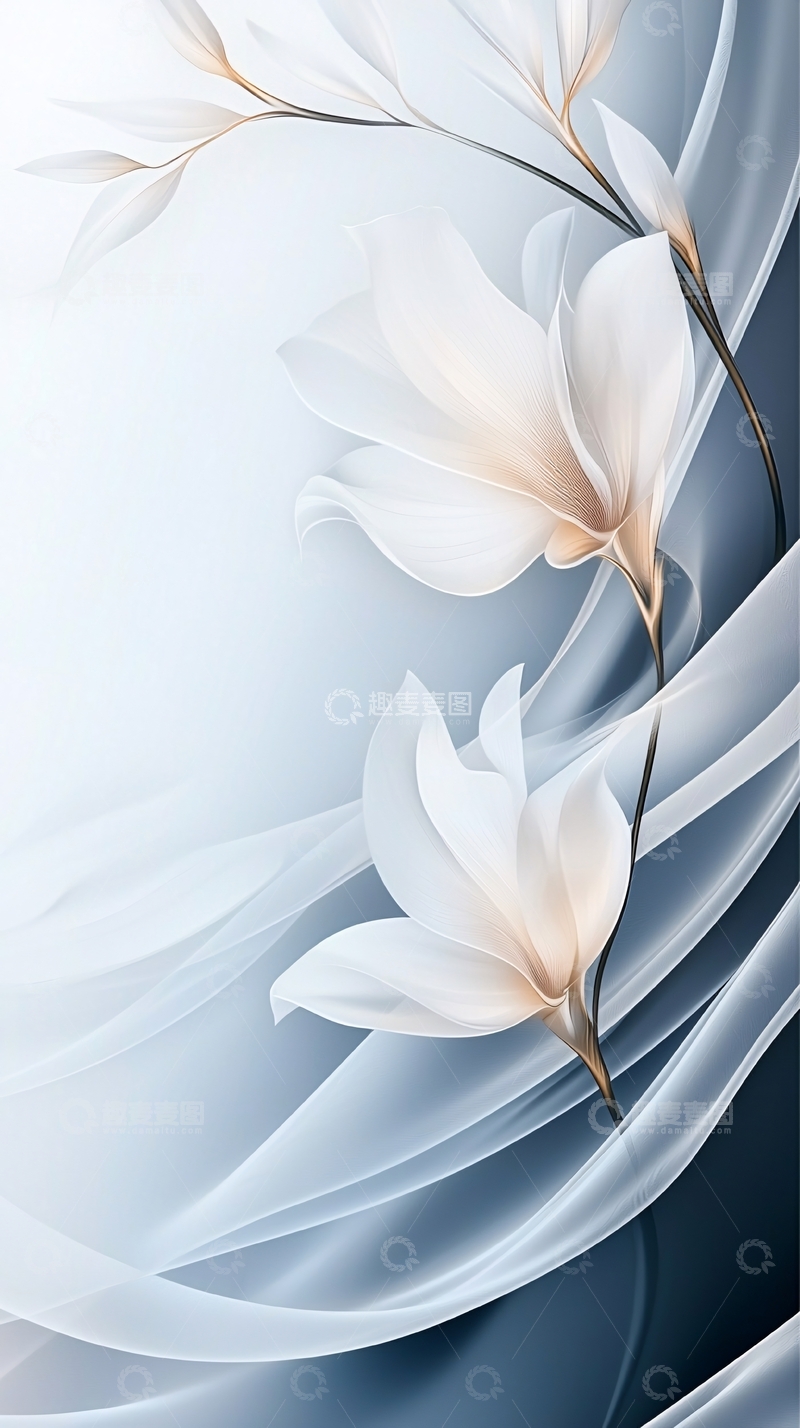高清大图下载【趣麦麦图】白色百合花抽象艺术背景