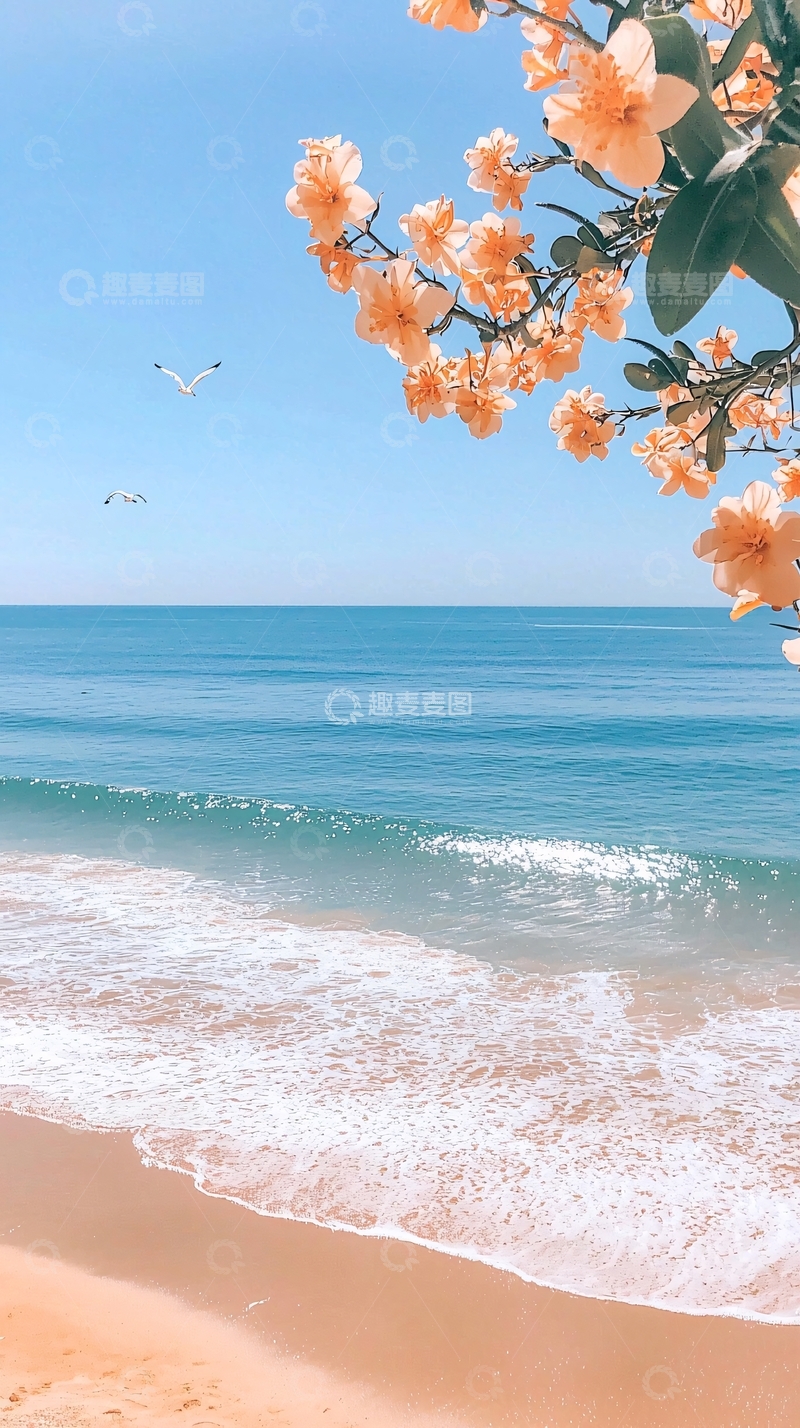 高清大图下载【趣麦麦图】海滩上的花与海鸥