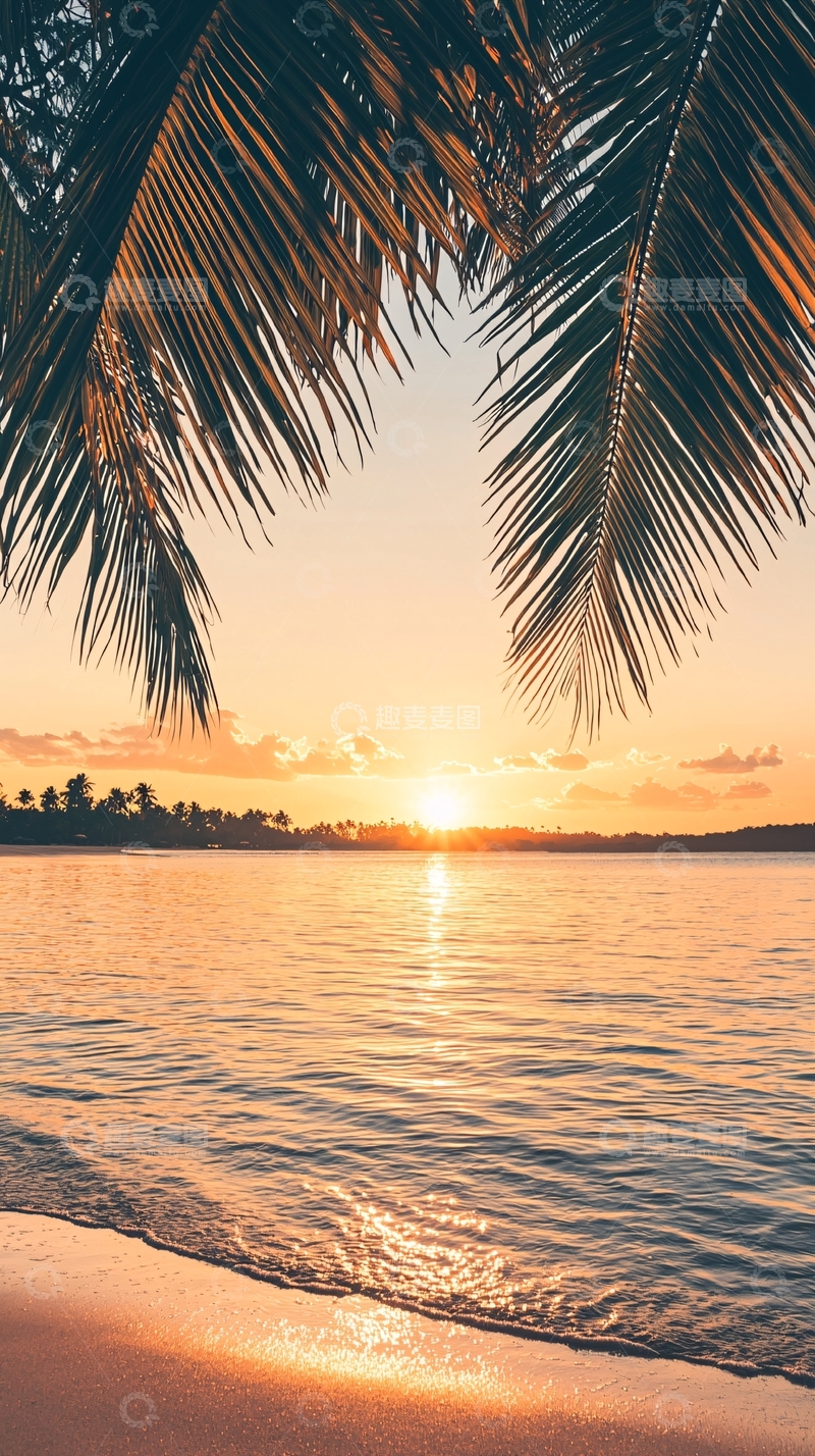 高清大图下载【趣麦麦图】日落海滩椰树风景