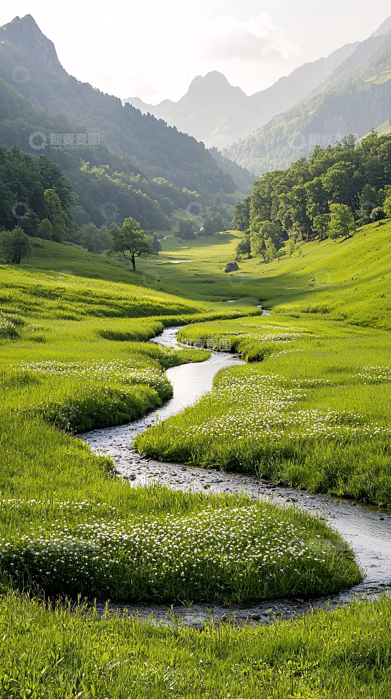 高清大图下载【趣麦麦图】山谷中的小溪与绿草