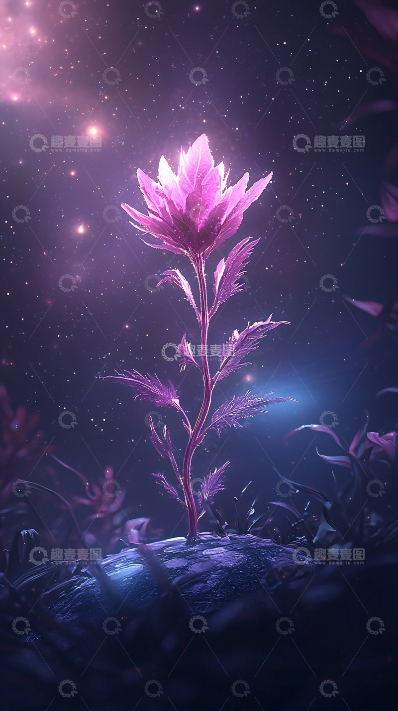 高清大图下载【趣麦麦图】梦幻紫色花朵星空背景