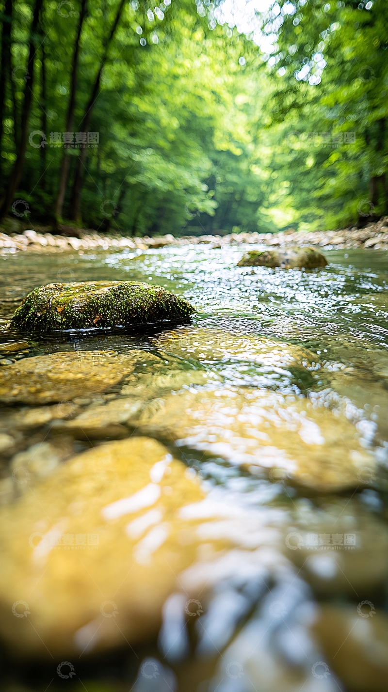 高清大图下载【趣麦麦图】清澈小溪森林自然风光