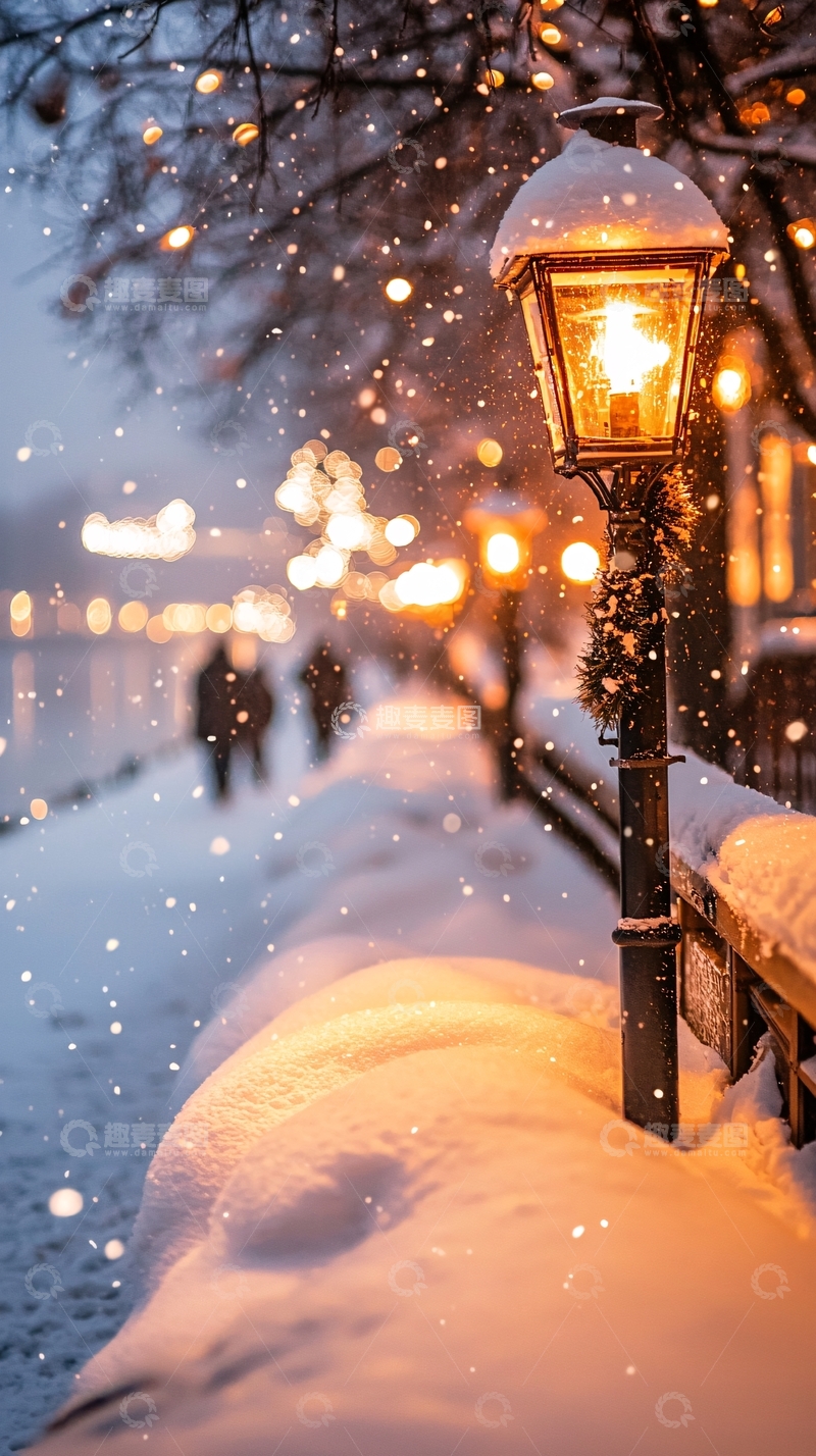 高清大图下载【趣麦麦图】冬夜雪景下的街灯