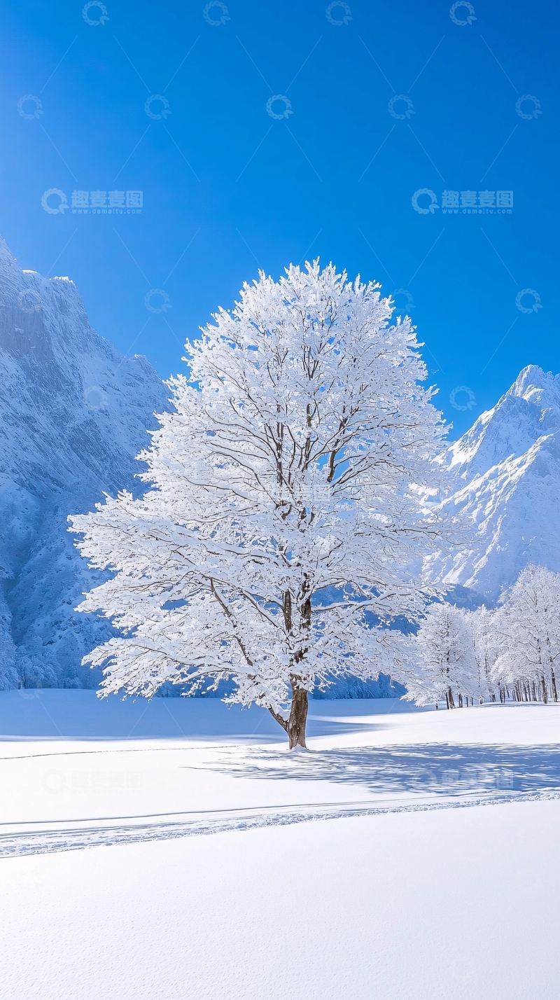 高清大图下载【趣麦麦图】冬日雪景下的孤树
