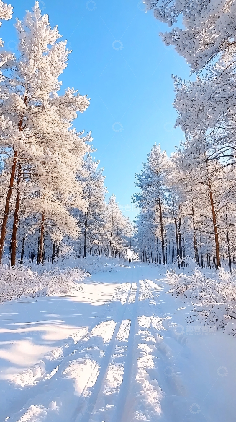 高清大图下载【趣麦麦图】雪地森林小径