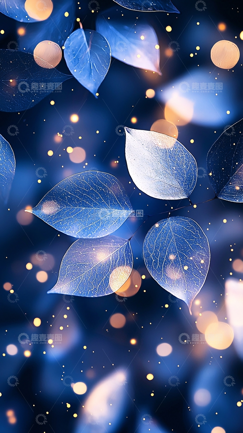 高清大图下载【趣麦麦图】蓝色叶子与光斑背景