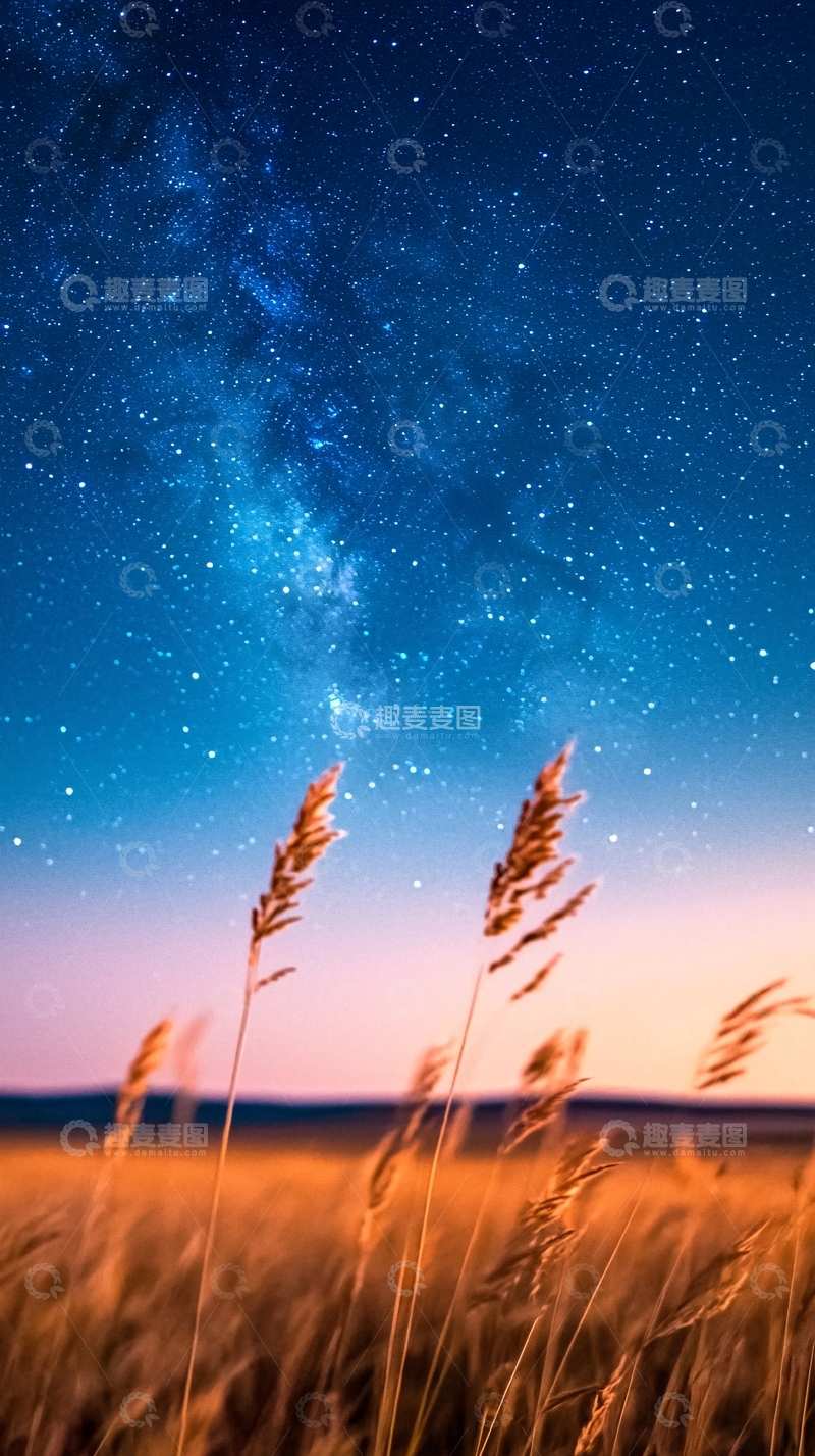 高清大图下载【趣麦麦图】星空下的麦田夜景