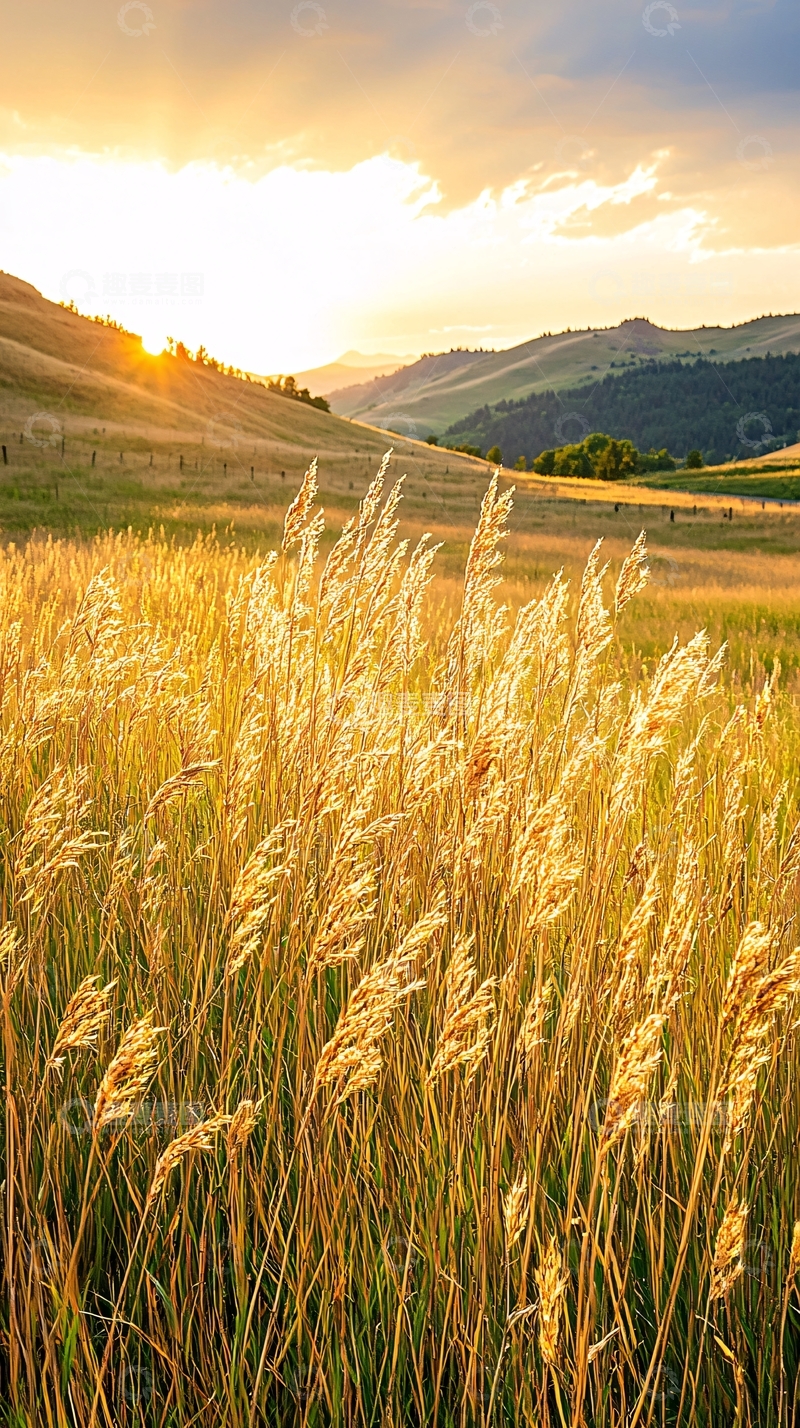 高清大图下载【趣麦麦图】夕阳下的草原风景