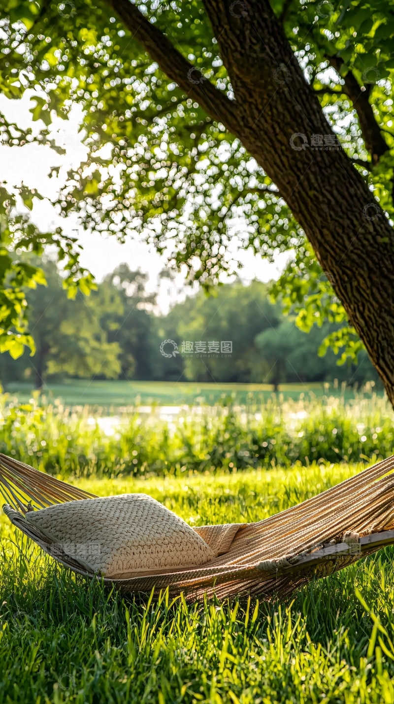 高清大图下载【趣麦麦图】树荫下的吊床