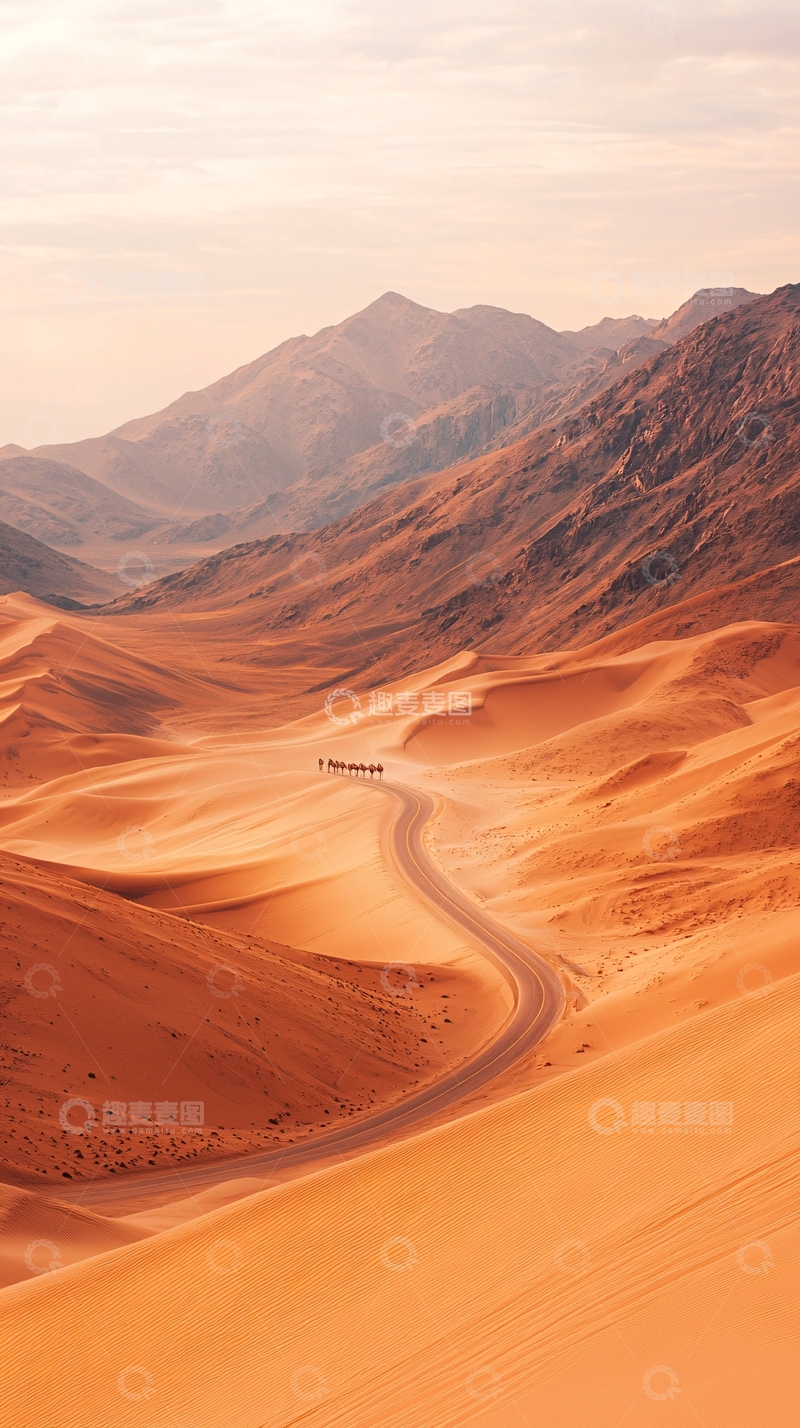 高清大图下载【趣麦麦图】沙漠公路与骆驼队列