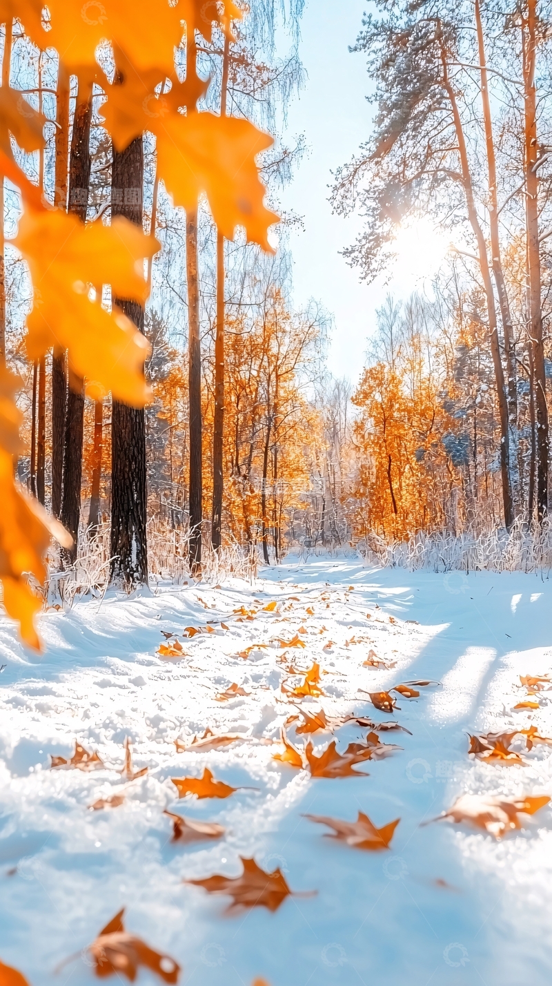 高清大图下载【趣麦麦图】冬日森林雪景