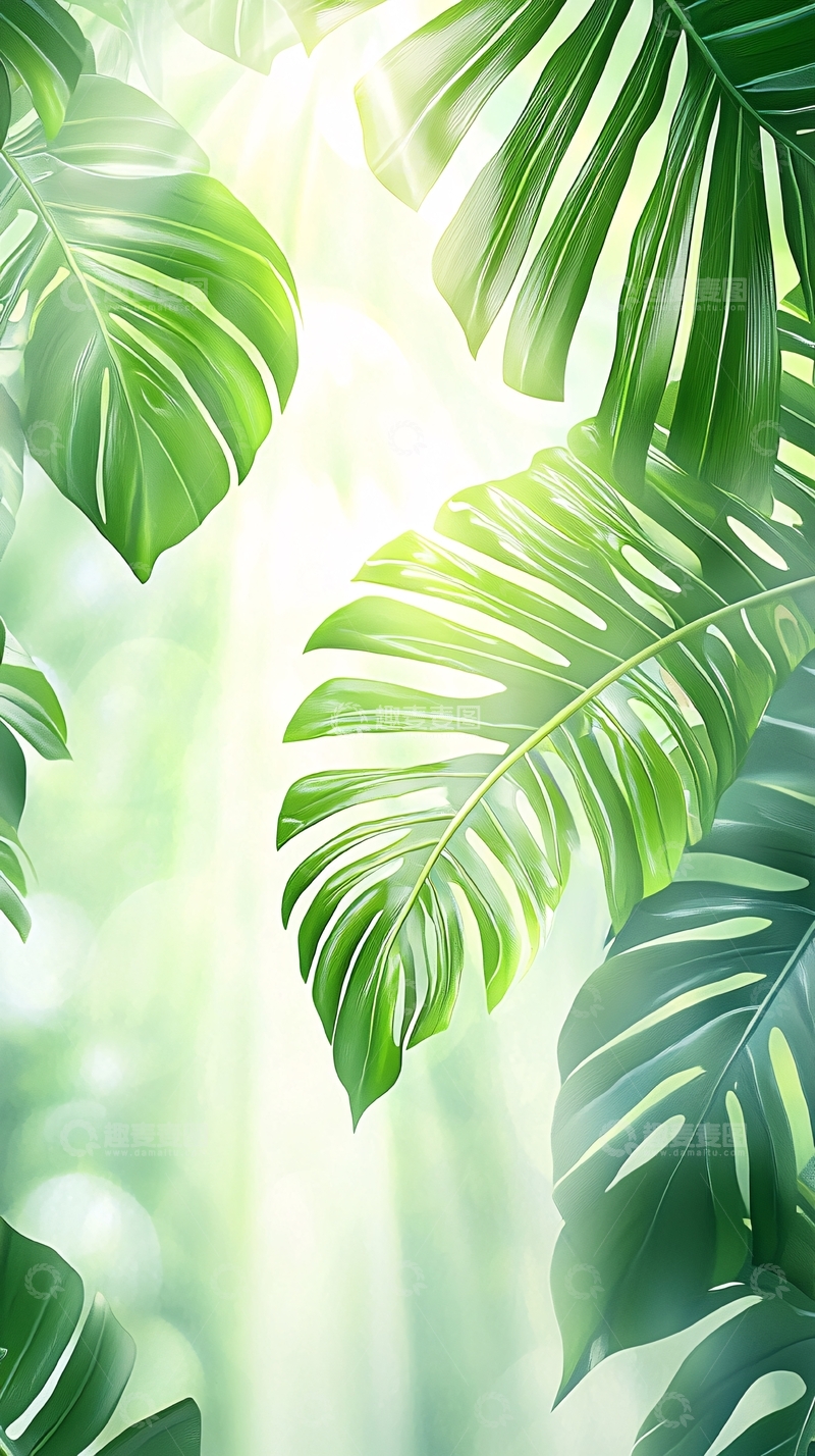 高清大图下载【趣麦麦图】热带雨林植物叶子背景图