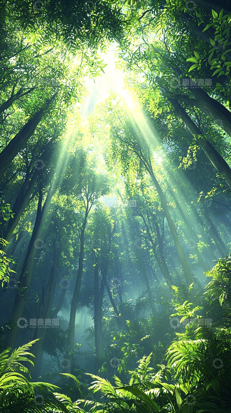 高清大图下载【趣麦麦图】阳光穿透森林