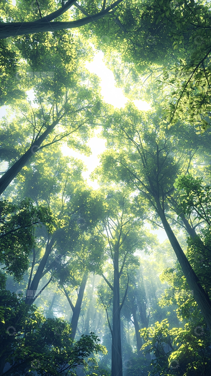 高清大图下载【趣麦麦图】阳光穿透森林树叶