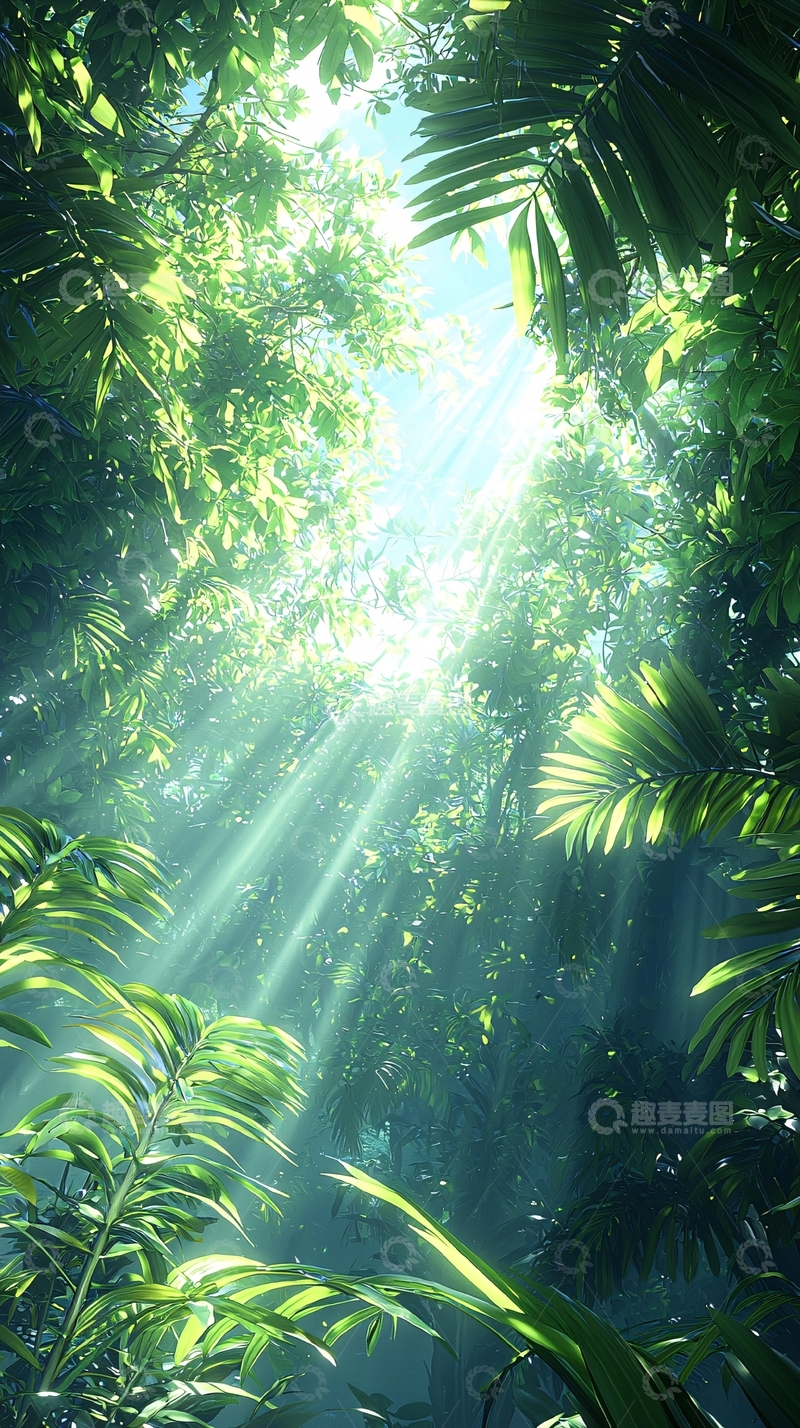 高清大图下载【趣麦麦图】阳光穿透热带雨林