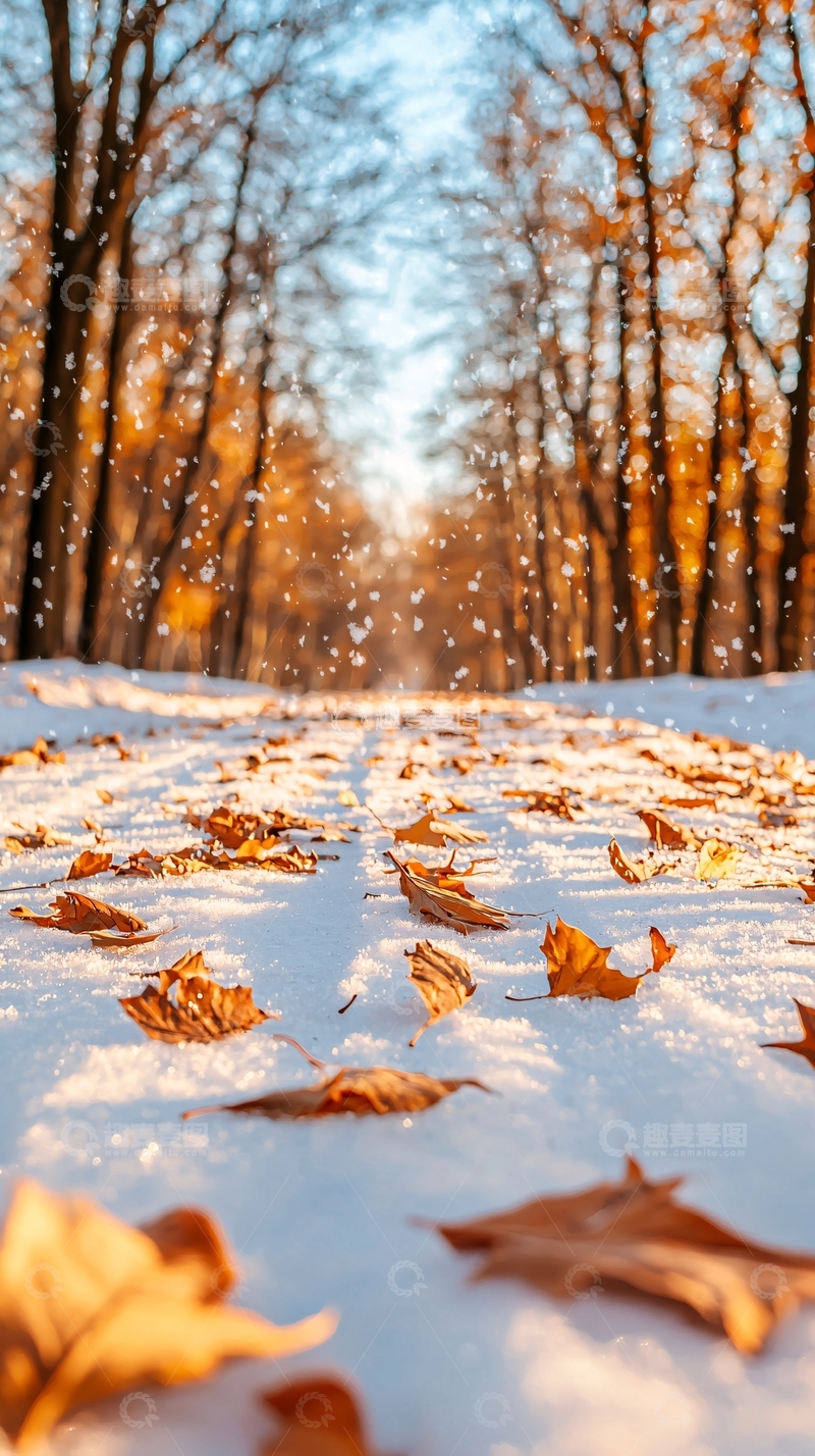 高清大图下载【趣麦麦图】冬日雪地落叶风景