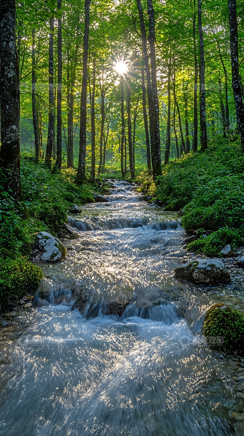 高清大图下载【趣麦麦图】森林中的小溪阳光照耀